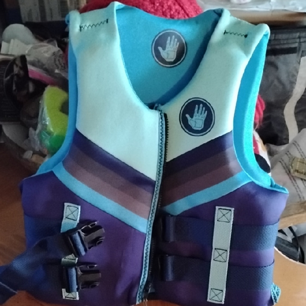 Blue and Purple Life Vest